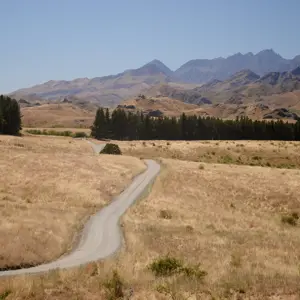 Molesworth.33