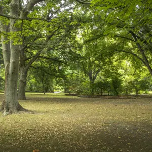 Pollard Park Blenheim RBPHOTO (31)