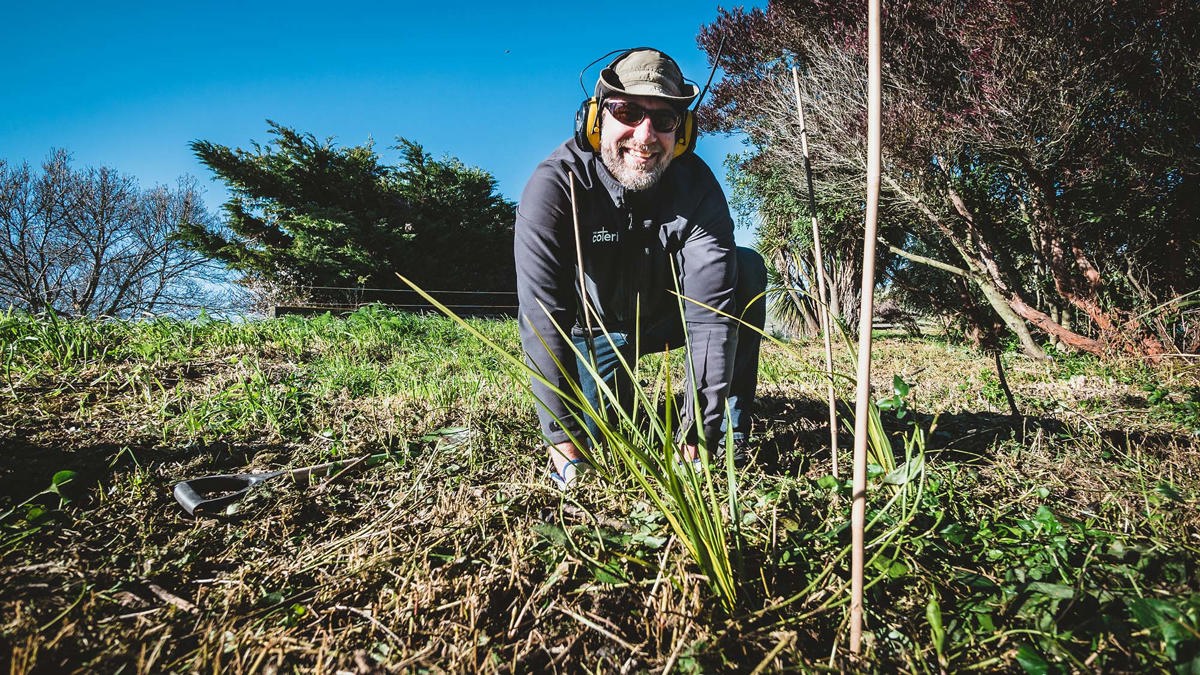 A volunteer helps plant a wetland in Marlborough