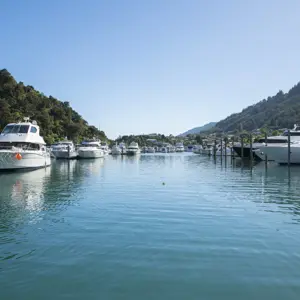 Picton Central RBPHOTO (20)