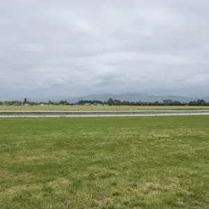Witherlea Race Way RBPHOTO (18)