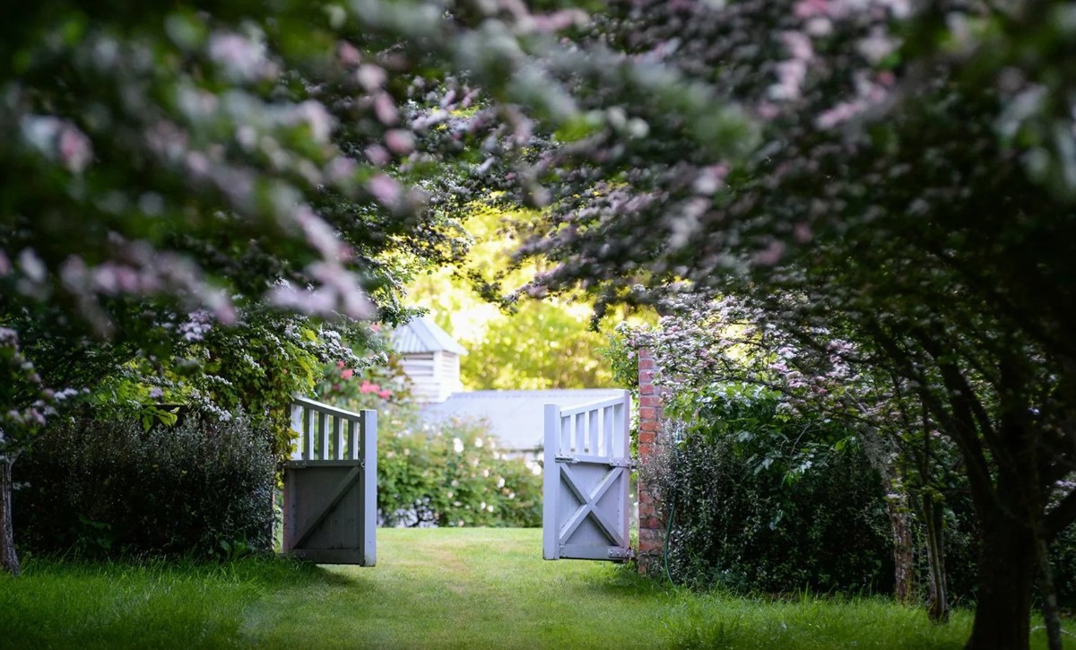 Barewood1