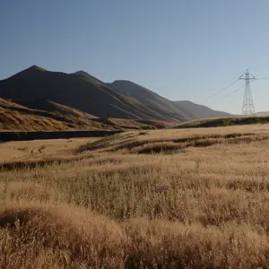 Molesworth.03