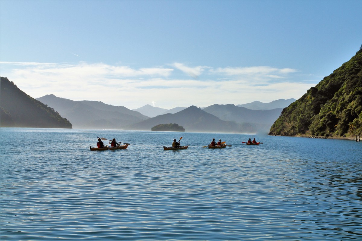 Kayakers On Picton Harbour Wildernessguides14 (2)