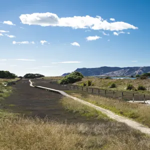 SM MDC 2 RBPHOTO (148)