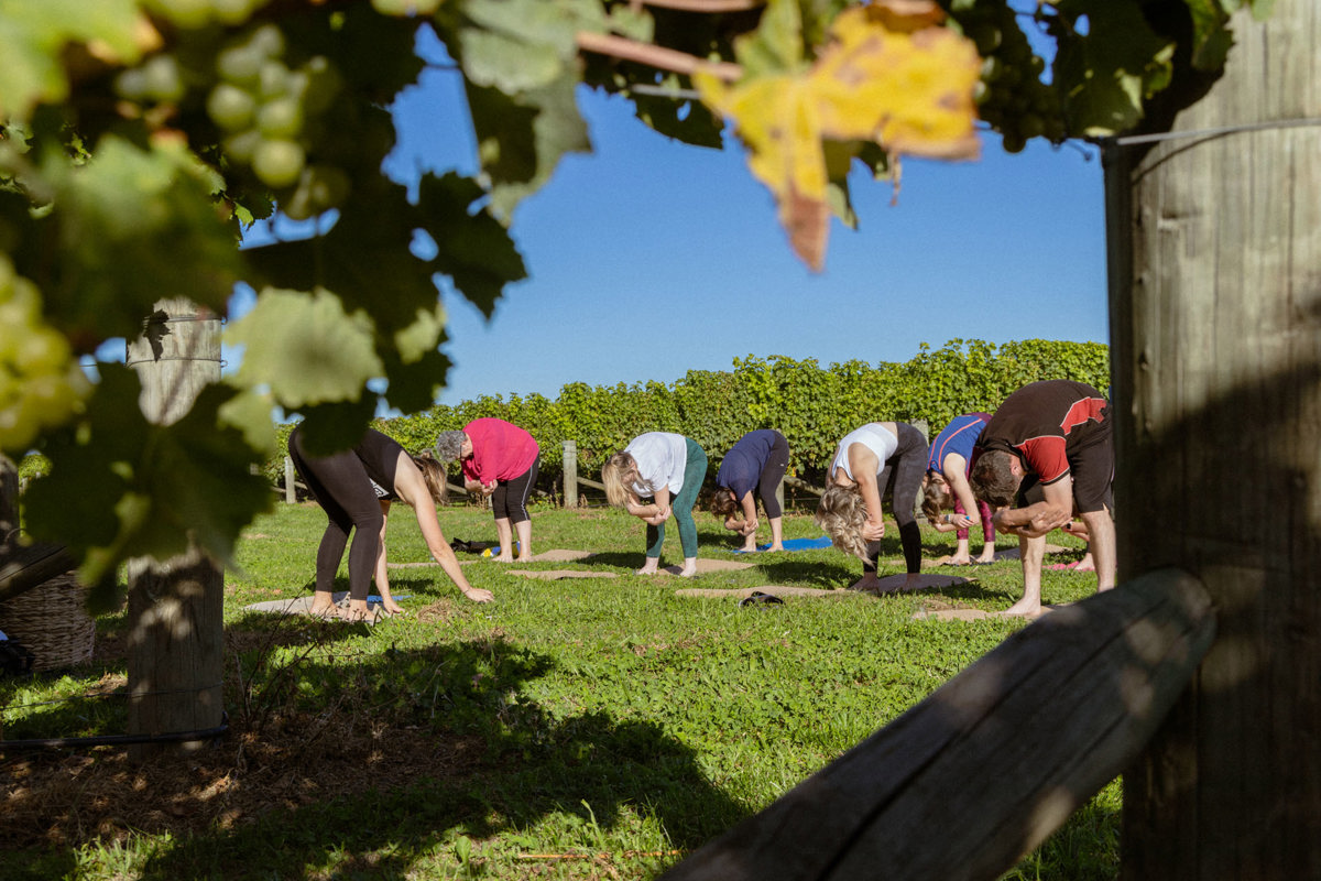 Sauvignom Winefulness Private Group Stretch