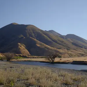 Molesworth.14