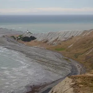 Cape Campbell.07 (1)