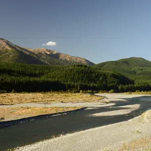 Wairau Valley.08
