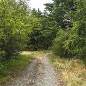 Wairau Hospital Land RBPHOTO (2)