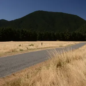 Upper Waihopai.03