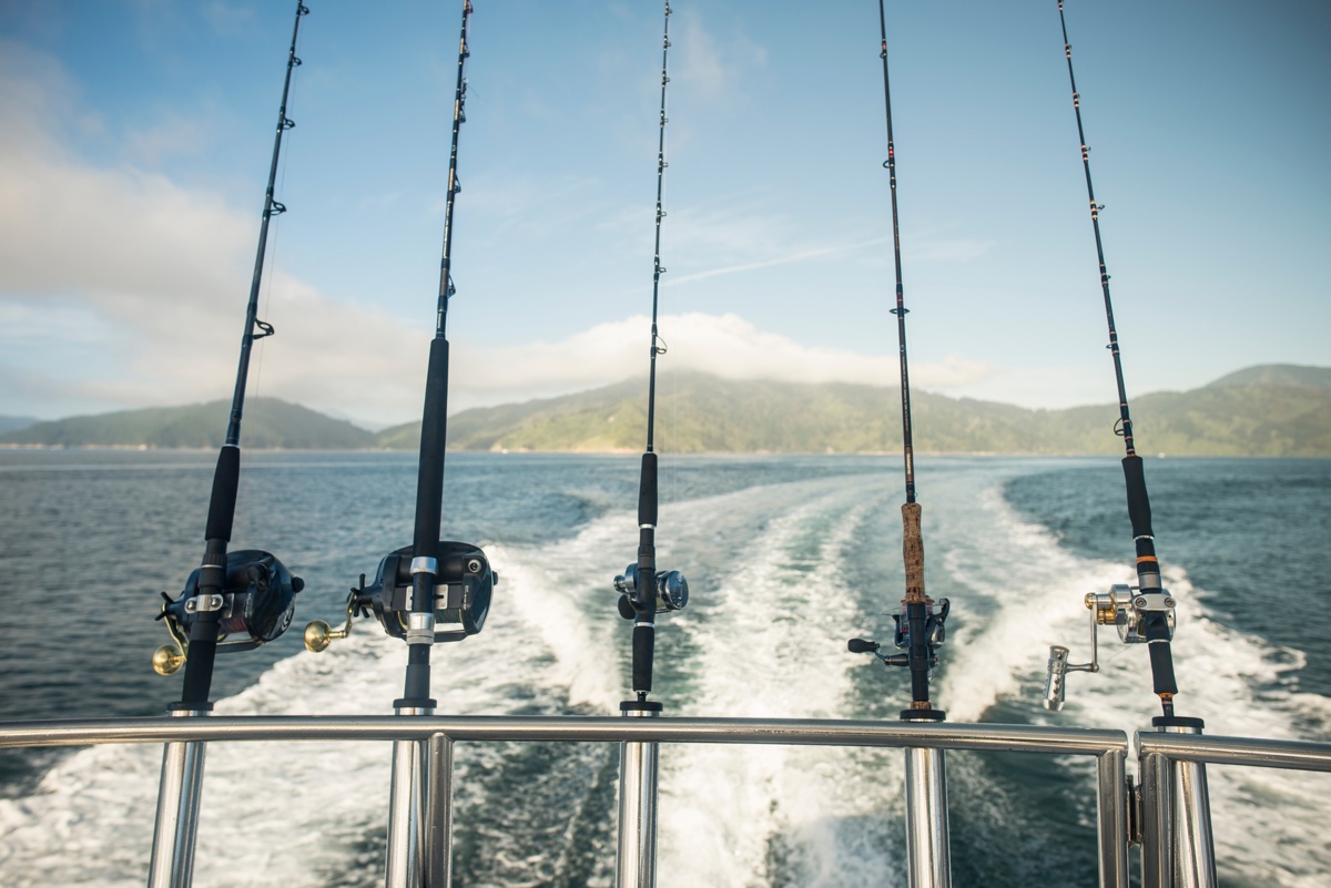 DM F Hooked On Wairau Sounds Boat Fishing (20)