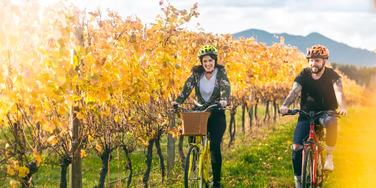 Autumn Couple Biking Vines Brancott Estate (4)
