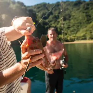 DM F Hooked On Wairau Sounds Boat Fishing (19)