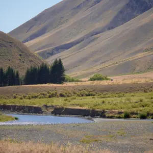 Molesworth.26