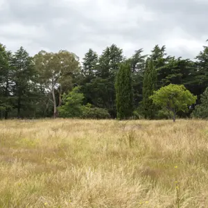 Wairau Hospital Land RBPHOTO (1)