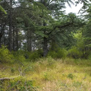 Wairau Hospital Land RBPHOTO (12)