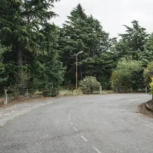 Wairau Hospital Land RBPHOTO (11)