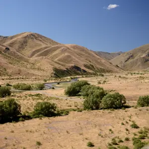 Molesworth.49