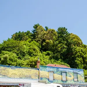 DSC 0522