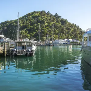Picton Central RBPHOTO (14)