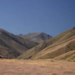 Molesworth.51
