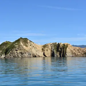 QCS Motungararaisland 06