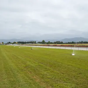 Witherlea Race Way RBPHOTO (9)