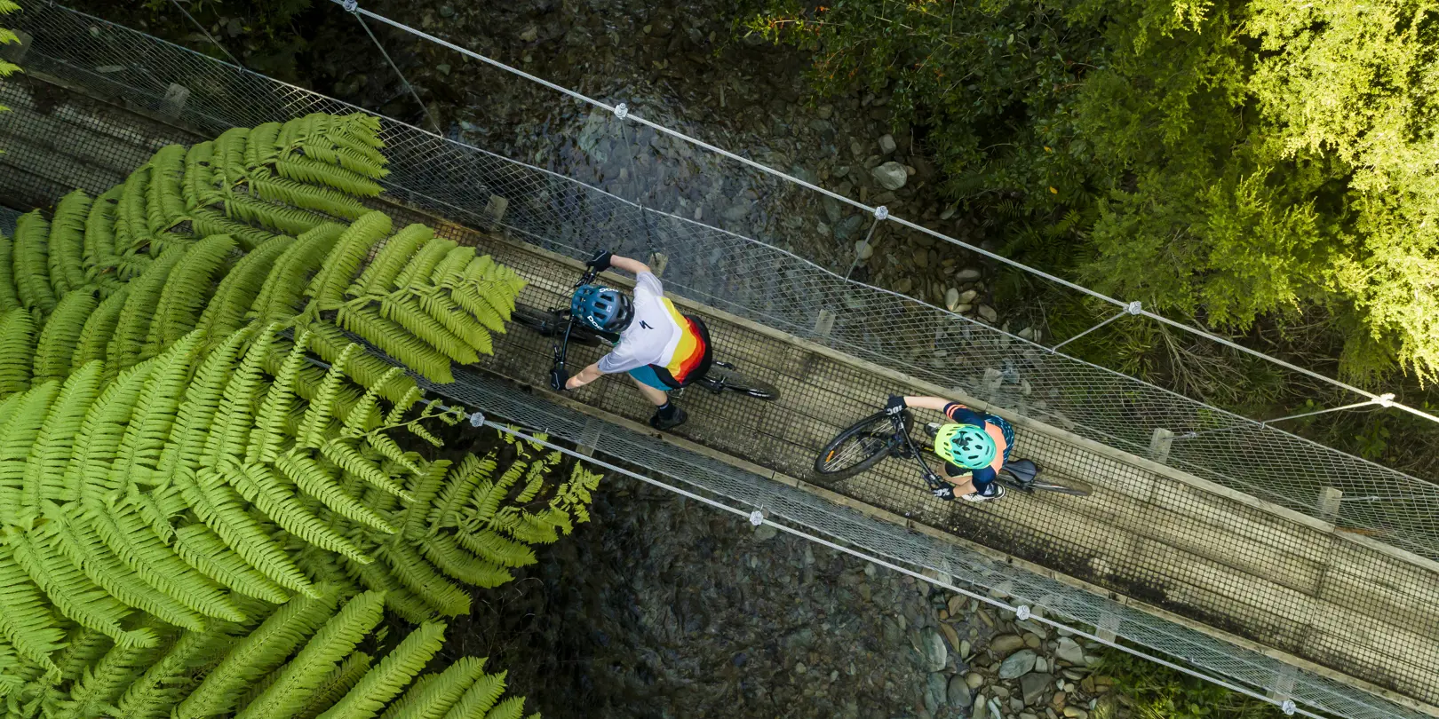 Queen Charlotte Track Biking Swingbridge Mh 2 1