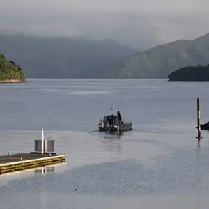 Picton.15