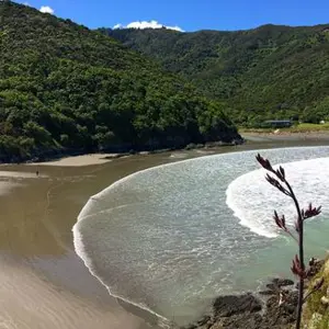 Whites Bay 1