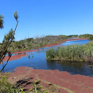Grove Lagoons