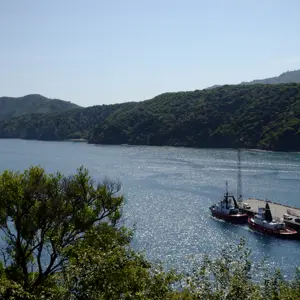 Picton.08