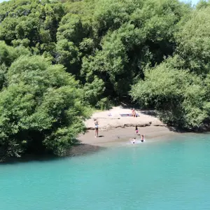 Spring Creek (1)