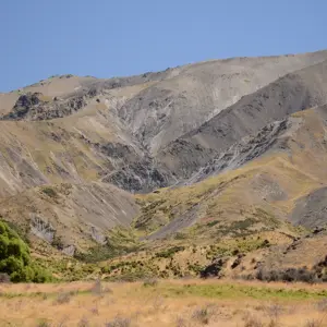 Molesworth.37