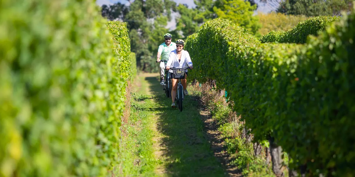 CNZWT 2023 Wine Tours By Bike 34