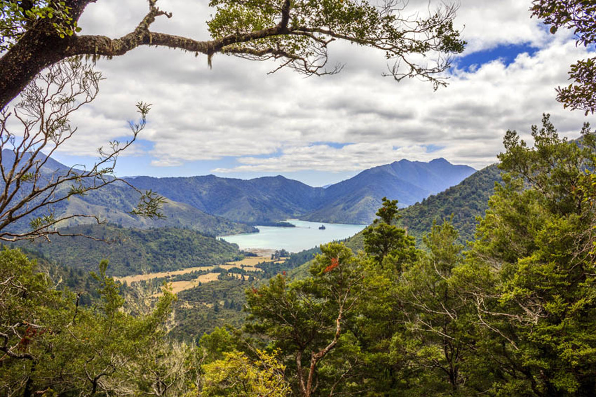 Tramping Nydia Track