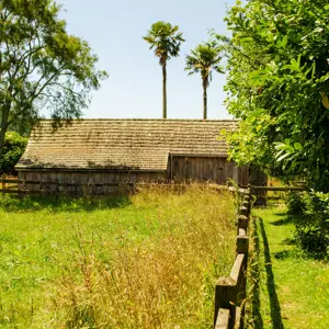 DSC 0736
