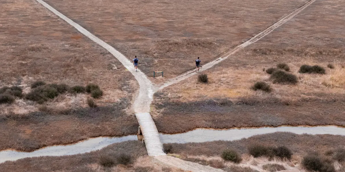 DJI 0265