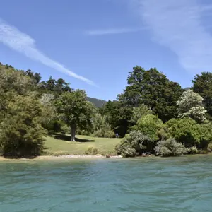 Pelorus Duncanbay 36