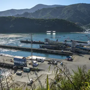 Picton Central RBPHOTO (2)