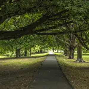 Pollard Park Blenheim RBPHOTO (13)