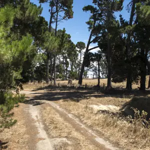 SM MDC 2 RBPHOTO (233)