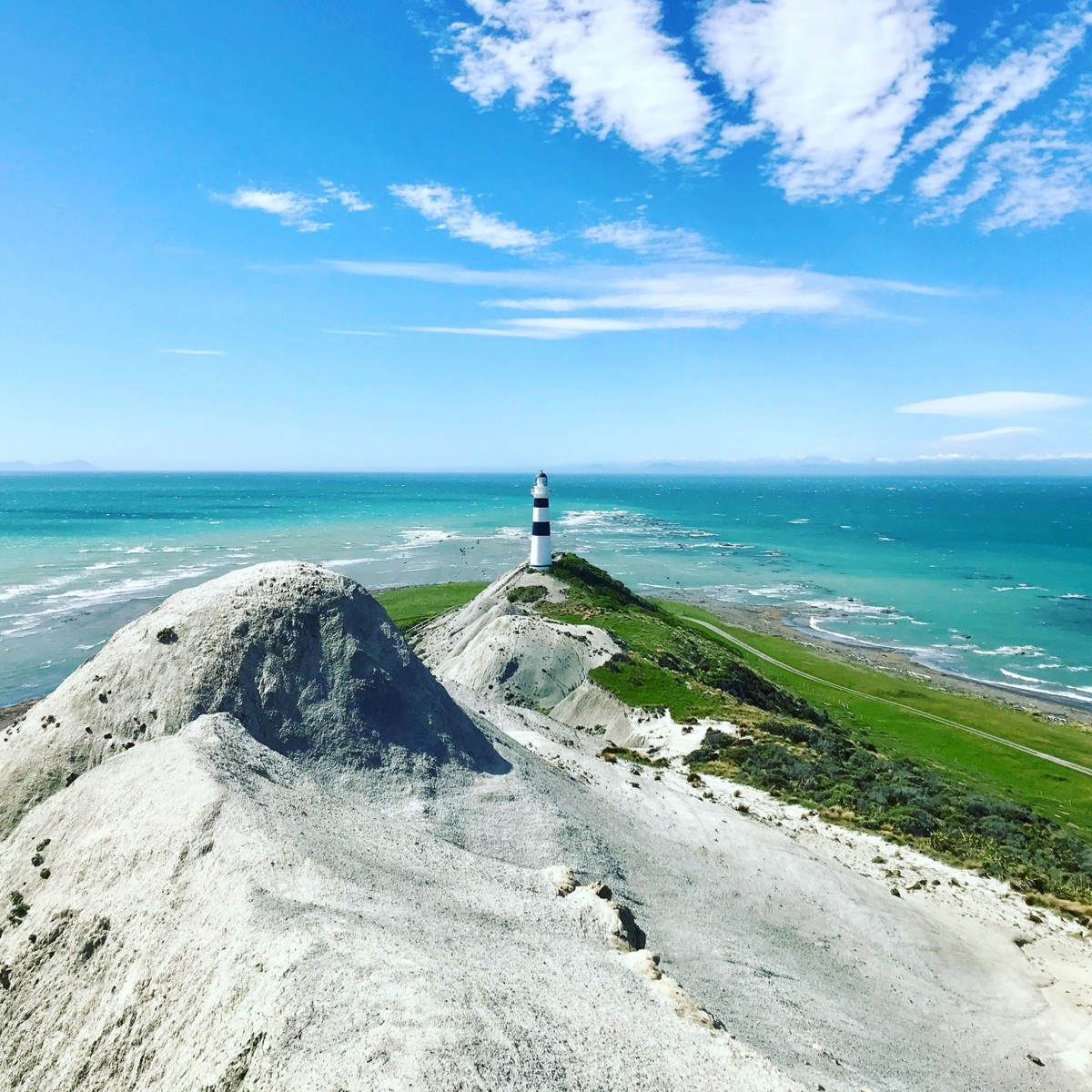 Cape Campbell, Marlborough