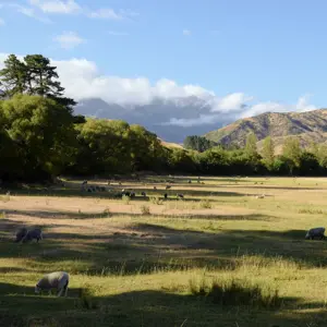 Wairau Valley.02