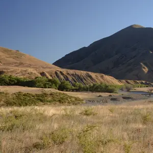Molesworth.07