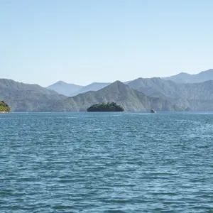 Picton Central RBPHOTO (33)
