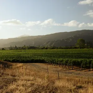 Wairau Valley.12 (1) (1)