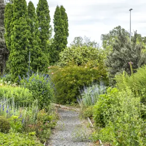 Pollard Park Blenheim RBPHOTO (36)