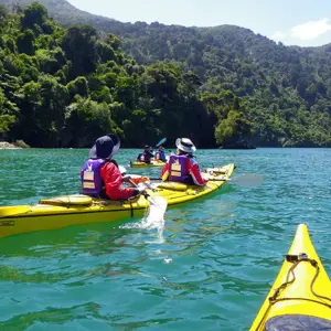 Kayak Rental1